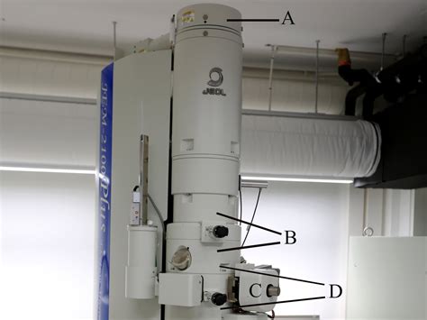 Transmission Electron Microscope TEM With EDX Detector