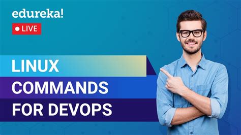 Linux Commands For Devops Linux For Devops Devops Training Git