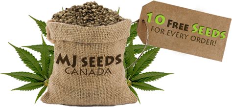 MJ Seeds Canada