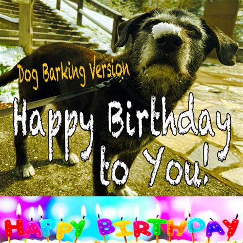 Stream Happy Birthday To You Dog Barking Version By Todster Listen