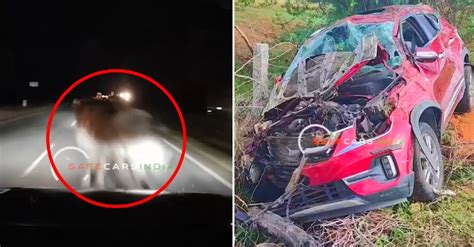 Kia Seltos Compact Suv Crashes Into Buffalo At 110 Km H Dash Cam Video