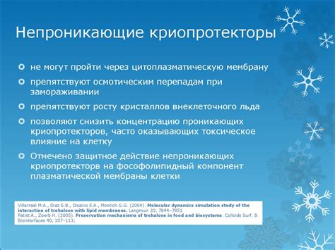 Криоконсервация – контролируемая пауза в развитии - презентация онлайн