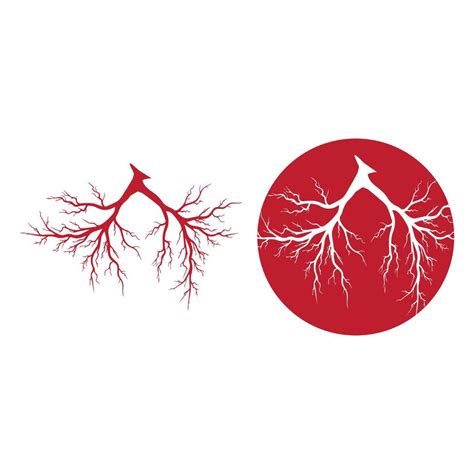 Human Veins Red Blood Vessels Design And Arteries Vector Illustration