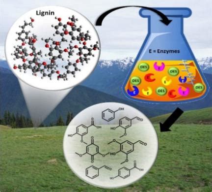 Enzymatic Oxidation Of Lignin Challenges And Barriers Toward Practical