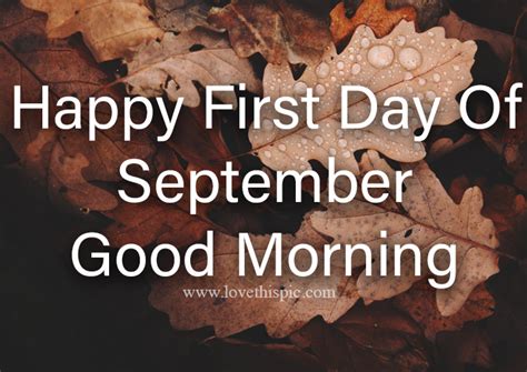 Withered Leaves First Day Of September Good Morning Pictures Photos