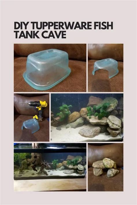 One moment, please... | Diy fish tank, Fish tank terrarium, Fish ...