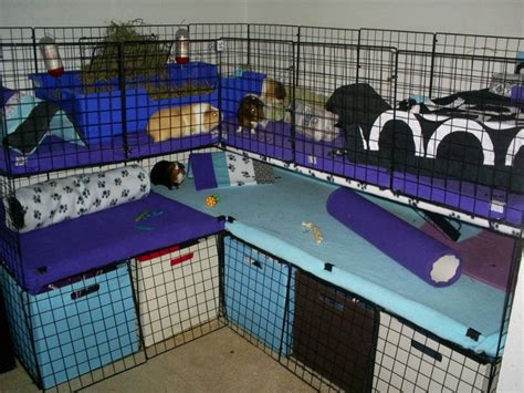 Cage With Doors Open Guinea Pig Cage Photos Guinea Pigs Guinea Pig