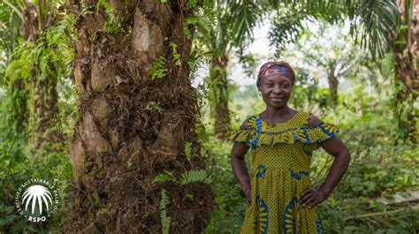 Setting The Standard For Sustainable Palm Oil Roundtable On