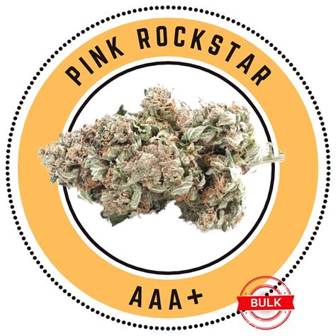 Buy Pink Rockstar Indica Dominant Hybrid Tga Dispensary