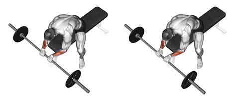 Barbell Reverse Wrist Curls: Benefits, Muscles Worked, and More ...