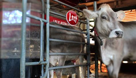 Lely Selects Prismtech S Vortex For Milking Robot System