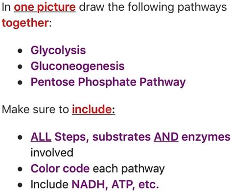 Solved In One Picture Draw The Following Pathways Together