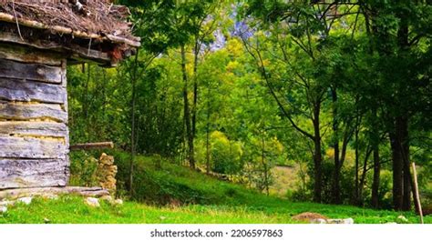 Story Beautifull Holiday Transylvania Mountains Carphatians Stock Photo ...