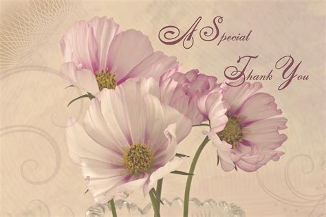 A Special Thank You - Card Photograph by Sandra Foster