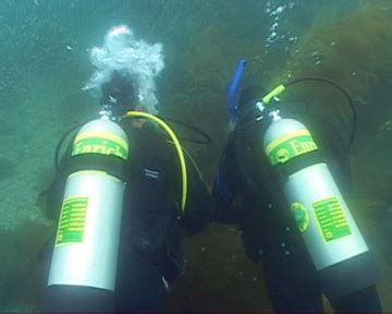 Diving For Fun - Enriched Air (Nitrox) Diver Specialty Details