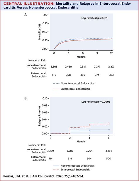 A Contemporary Picture Of Enterococcal Endocarditis Journal Of The