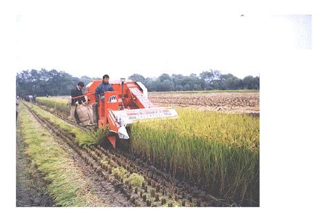 Rice Harvest Combine