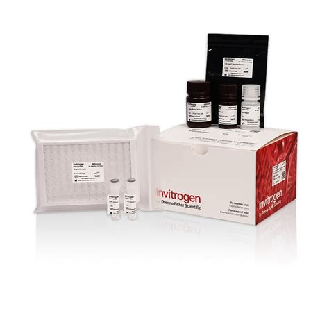 Invitrogen Total Cholesterol Tc Colorimetric Assay Kit Single