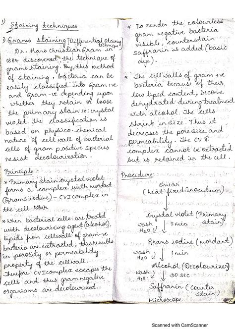 SOLUTION: Staining techniques - Microbiology - Studypool