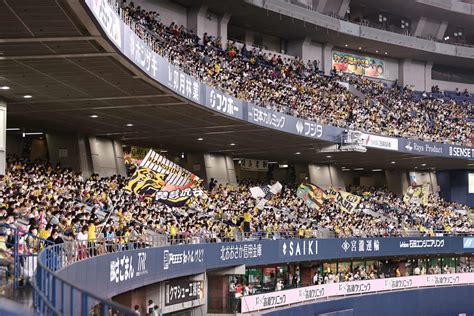 Denaが阪神に勝利 佐野がソロ本塁打 阪神は無得点／ライブ速報詳細 プロ野球ライブ速報写真ニュース 日刊スポーツ