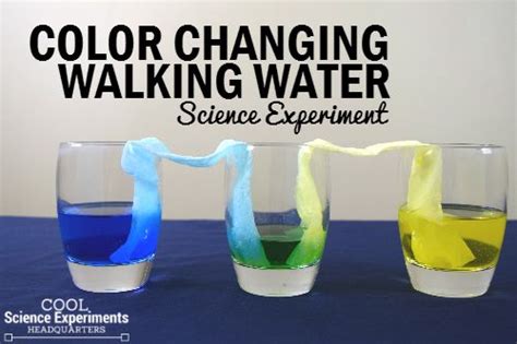 Color Changing Walking Water Experiment Water Science Experiments