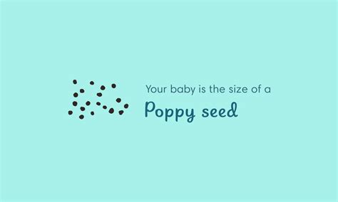 4 Weeks Pregnant: Symptoms and Baby Development | Pampers