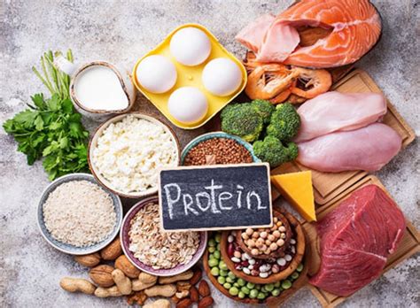 High Quality Protein Why It Is Important In Your Diet Beyond 40? 