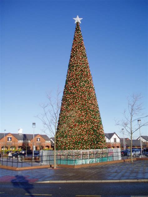 Giant Christmas Tree Cheshire Oaks © Eirian Evans Geograph Britain