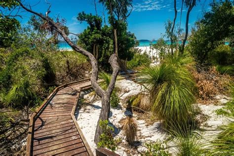 De 10 mooiste plekken langs de Oostkust van Australië