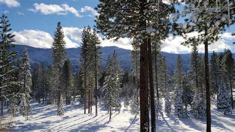 Winter Wonderland Plumas News