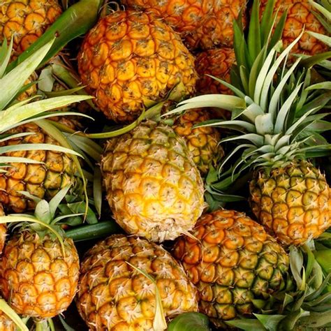 Ananas