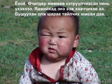 Хошин зураг
