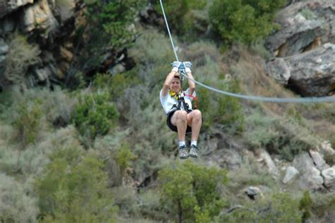 Ziplining Excursion In Ceres Mountain Fynbos Nature Reserve Manawa