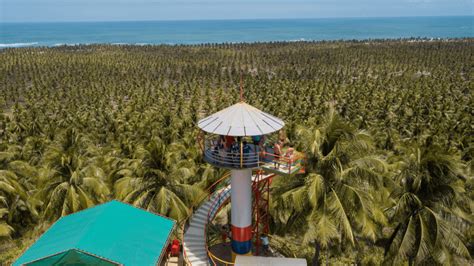 Praia do Gunga um paraíso discreto em Alagoas esperando por você