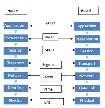 7 Layers of The OSI Model (A Complete Guide)