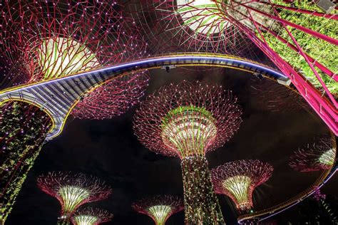 Singapore supertrees