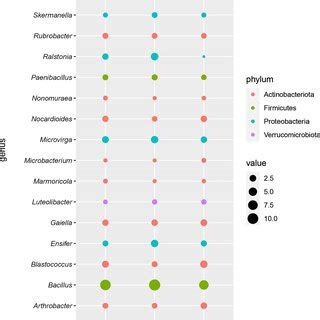 Bubble Graph Showing Relative Abundance Of The Top 20 Bacteria At