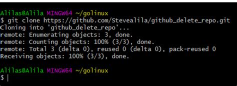 Github Delete Repository The Right Way Step By Step Golinuxcloud