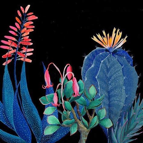 Laura Garcia Serventi Is On The Blog Today This Is Night Succulents