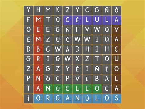 Proceso De CVA Juego Interactivo Sopa De Letras