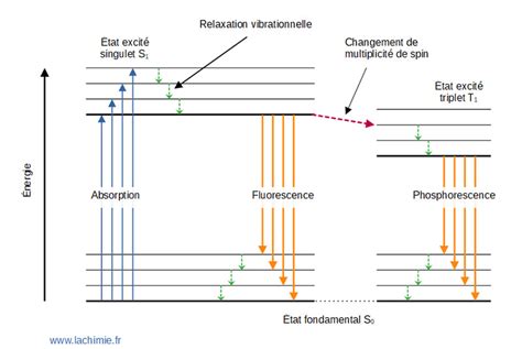 Fluorescence Et Phosphorescence