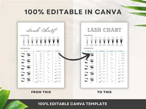 Printable Lash Chart Digital Eyelash Guide Eyelash Extension Etsy