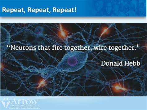 Trauma Informed Care For Victims Of Sex Trafficking