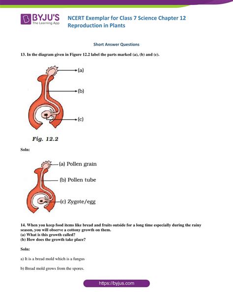 Ncert Exemplar Solutions For Class 7 Science Chapter 12 Reproduction