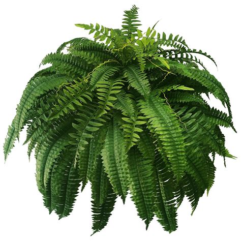 WAYNHUI Silky Artificial Boston Fern Bush 48Inch Artificial Plants