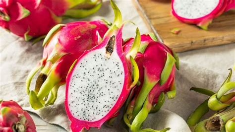 Como Plantar Pitaya Tudo Sobre Origem Cultivo E Cuidados