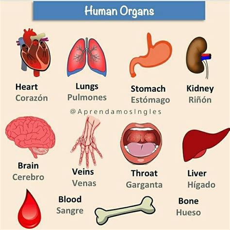 aprender ingles rapido quieres aprender ingles encuentra encuentra