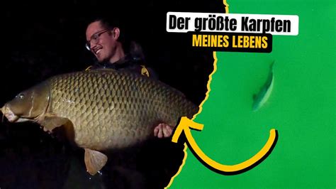 Karpfenanglen in Österreich I Angler fängt den größten Karpfen seines