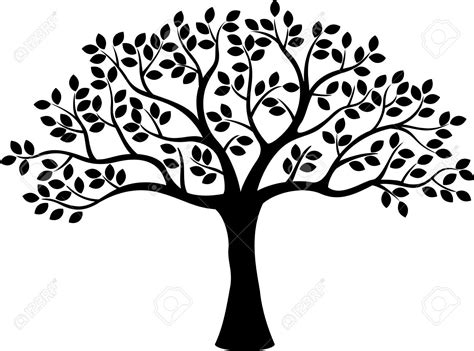 Simple Tree Line Drawing At Getdrawings Free Download