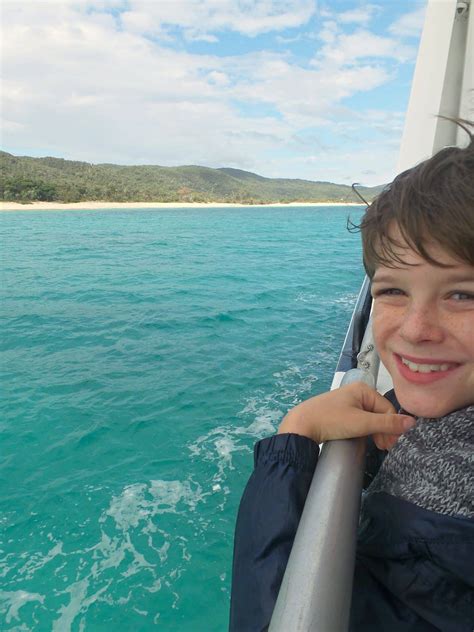 Everything you need to know about taking a whale watching cruise in